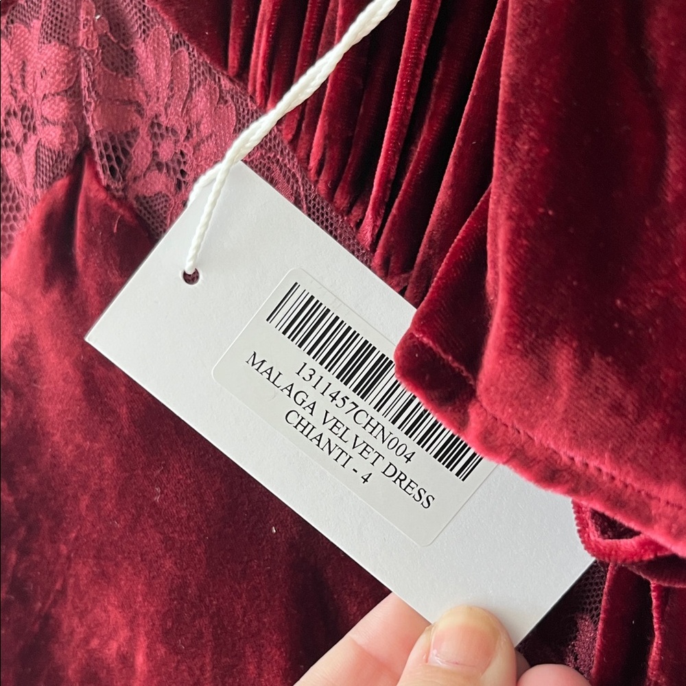 Reformation Malaga Velvet Dress in Chianti Lace Pouf Sleeve Plunge Neck Floor - Picture 11 of 14